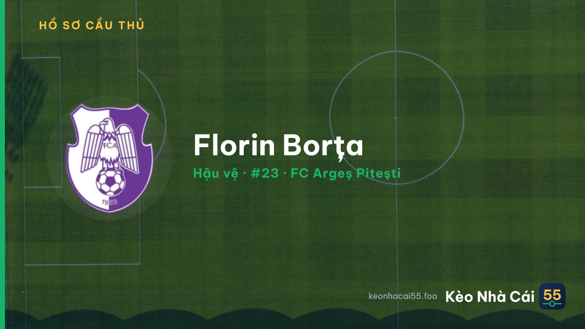 Florin Borța — FC Argeș Pitești