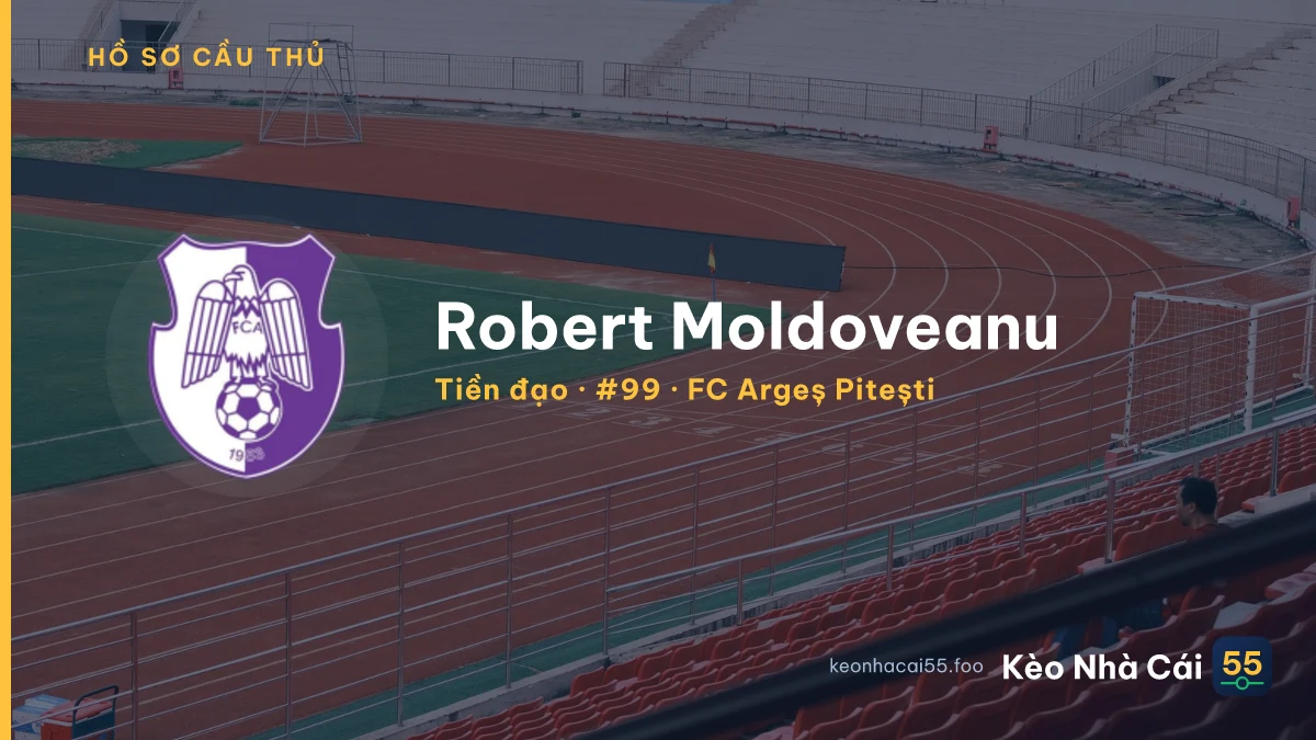 Robert Moldoveanu — FC Argeș Pitești