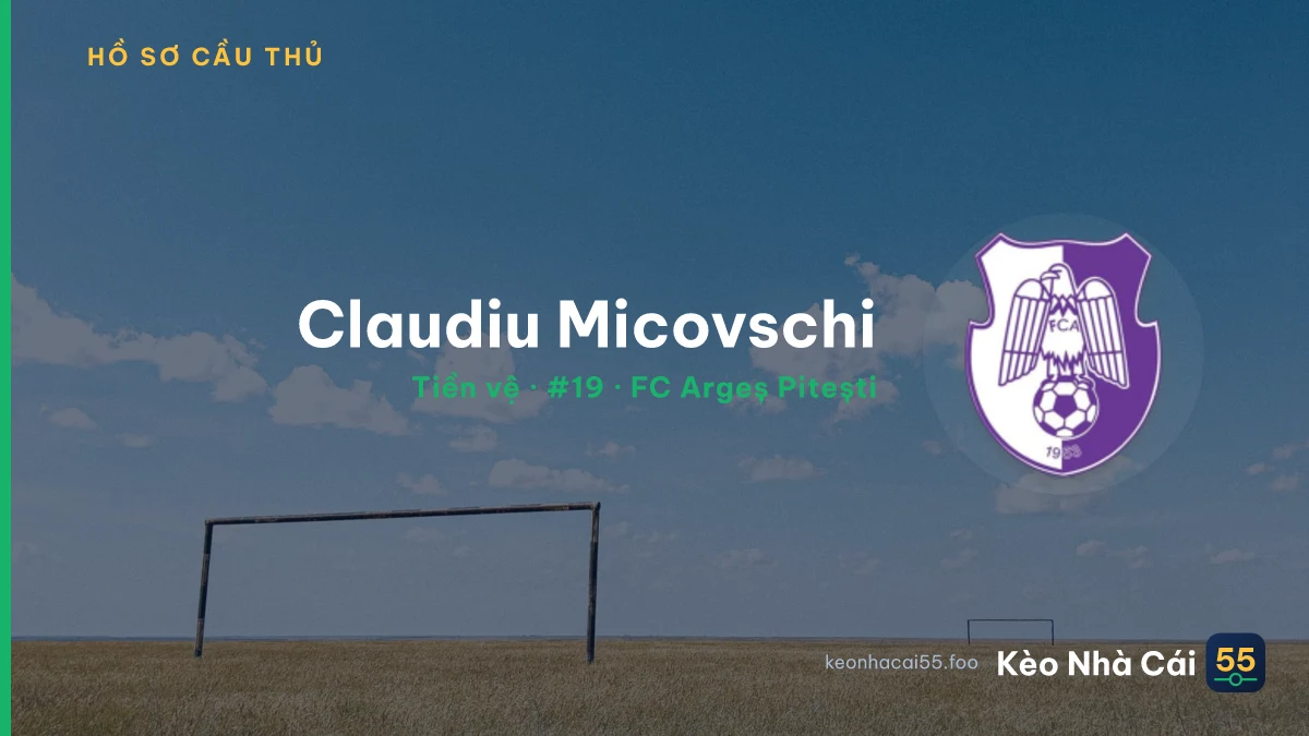 Claudiu Micovschi — FC Argeș Pitești