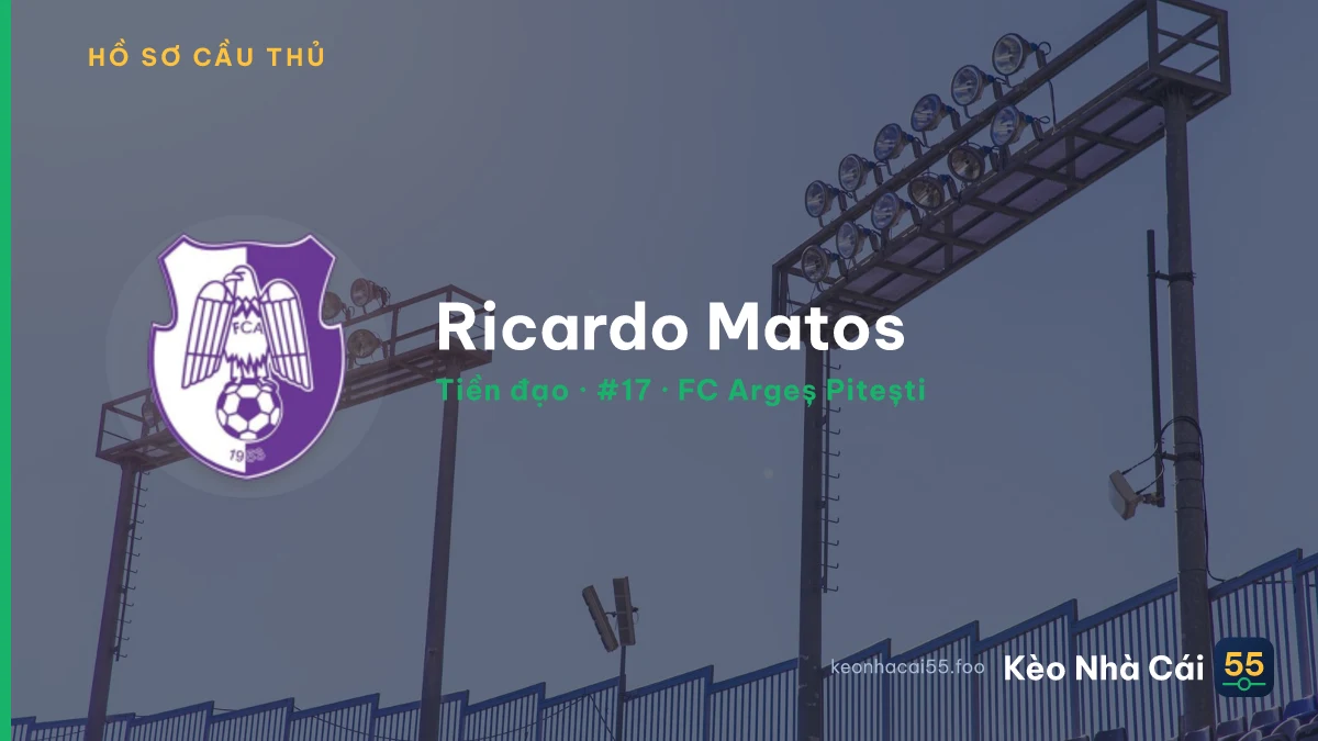 Ricardo Matos — FC Argeș Pitești