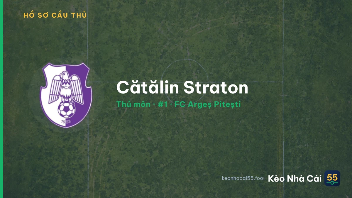 Cătălin Straton — FC Argeș Pitești