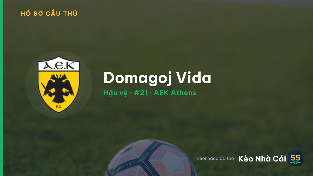 Domagoj Vida — AEK Athens