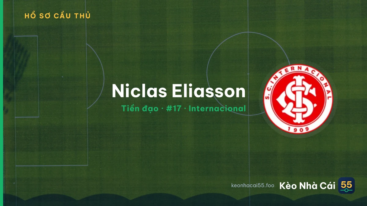 Niclas Eliasson — Internacional