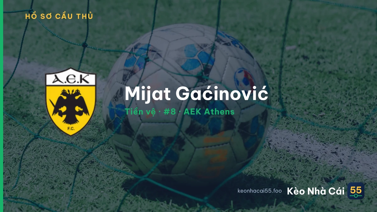 Mijat Gaćinović — AEK Athens