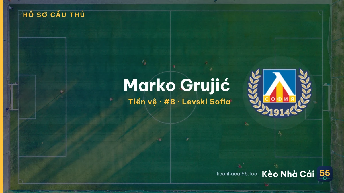 Marko Grujić — Levski Sofia