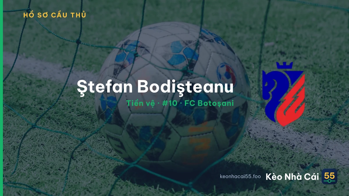 Ştefan Bodişteanu — FC Botoșani
