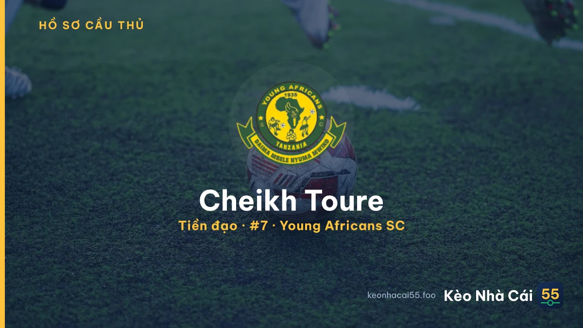 Cheikh Toure — Young Africans SC