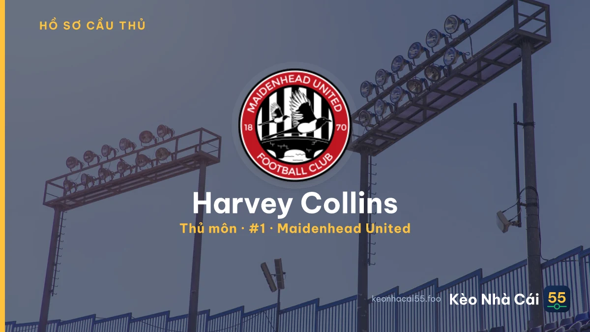 Harvey Collins — Maidenhead United