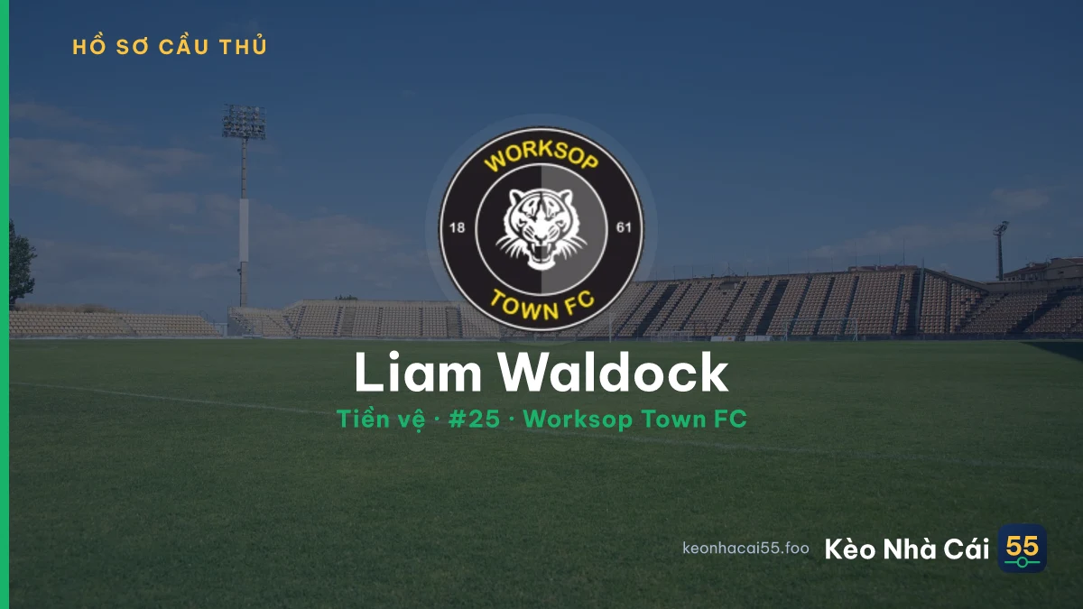 Liam Waldock — Worksop Town FC