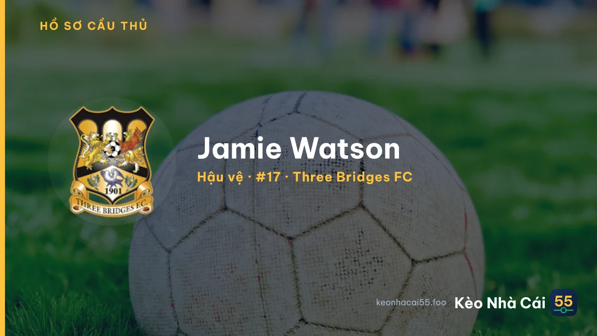 Jamie Watson — Three Bridges FC