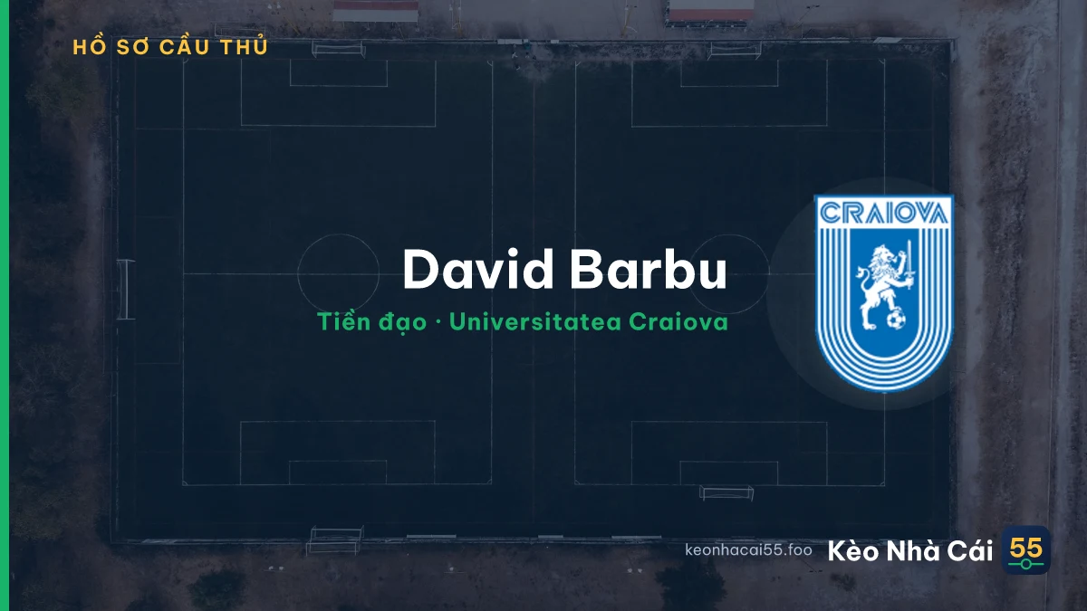 David Barbu — Universitatea Craiova