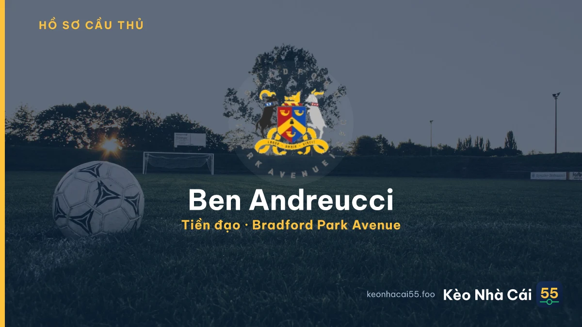 Ben Andreucci — Bradford Park Avenue