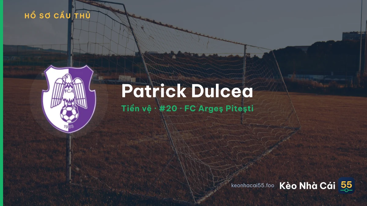 Patrick Dulcea — FC Argeș Pitești