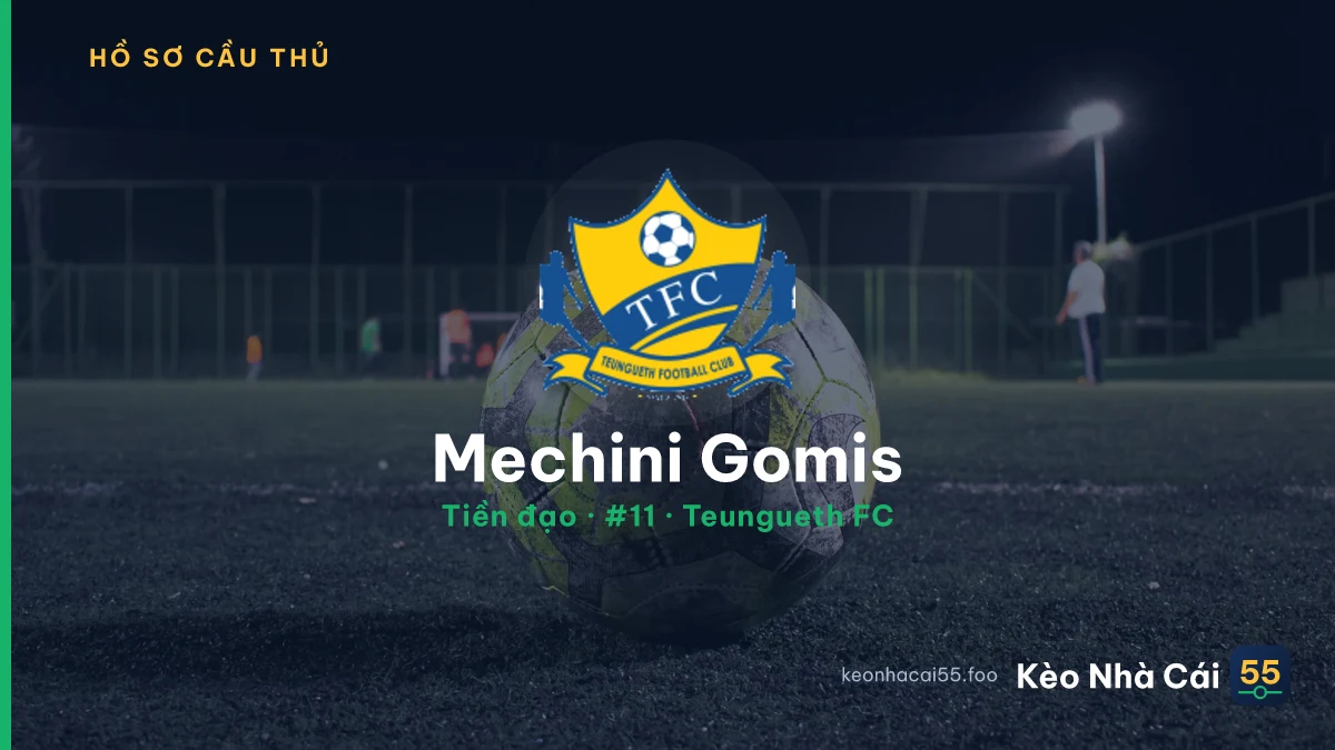 Mechini Gomis — Teungueth FC