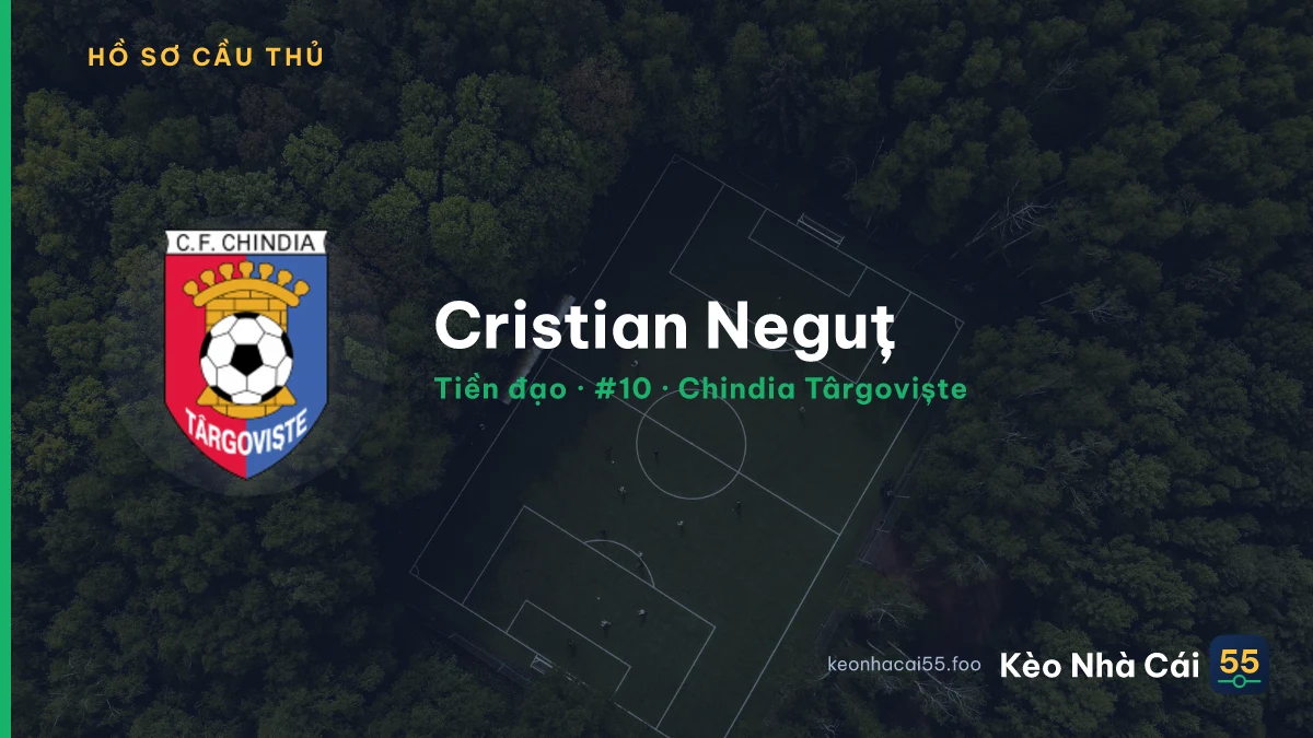 Cristian Neguț — Chindia Târgoviște