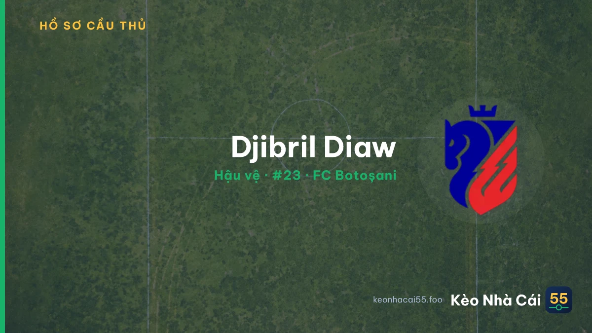 Djibril Diaw — FC Botoșani