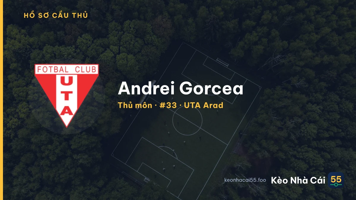 Andrei Gorcea — UTA Arad