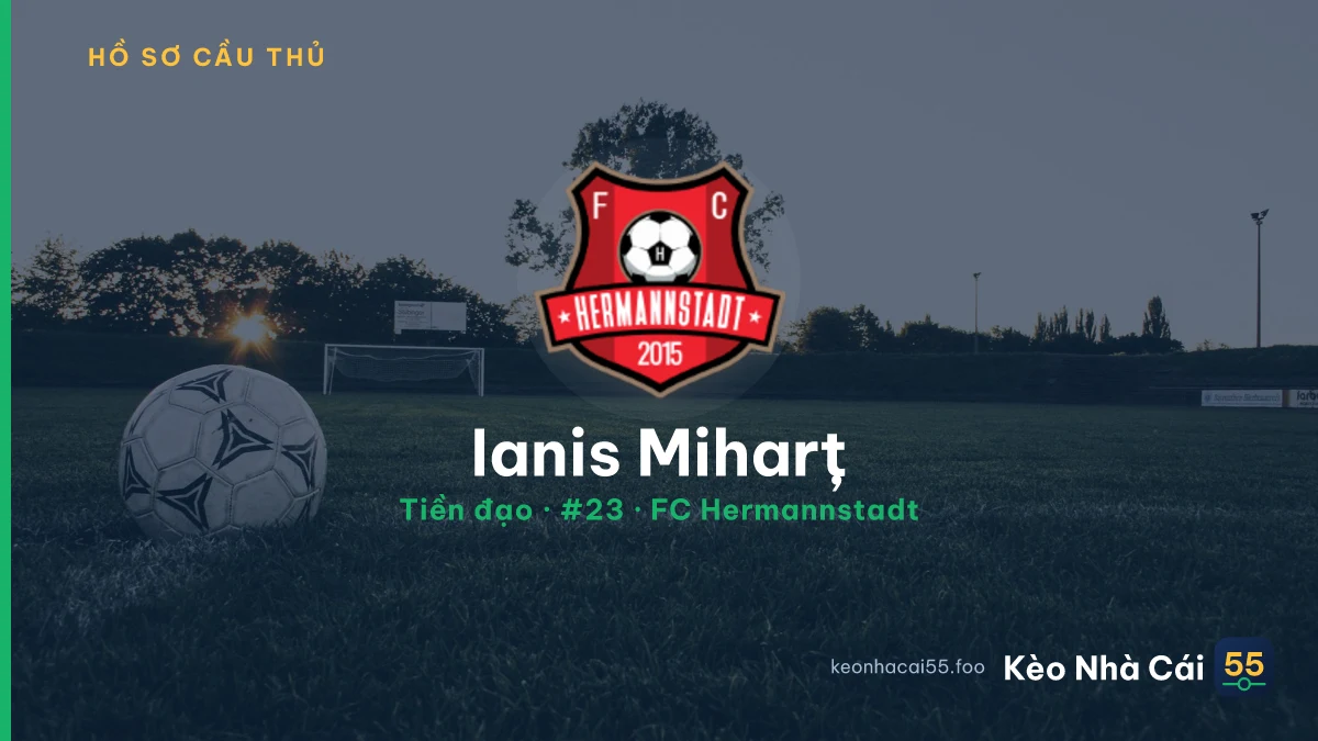 Ianis Miharț — FC Hermannstadt