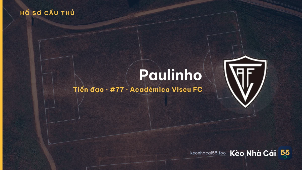 Paulinho — Académico Viseu FC