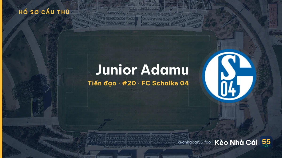 Junior Adamu — FC Schalke 04