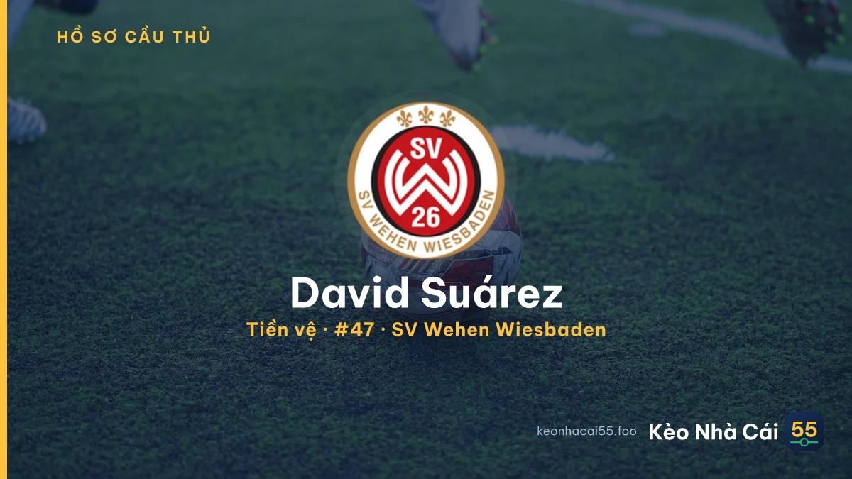 David Suárez — SV Wehen Wiesbaden