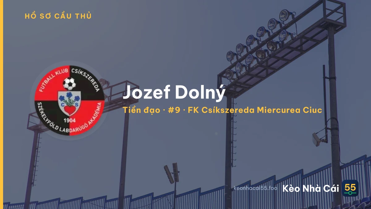 Jozef Dolný — FK Csíkszereda Miercurea Ciuc