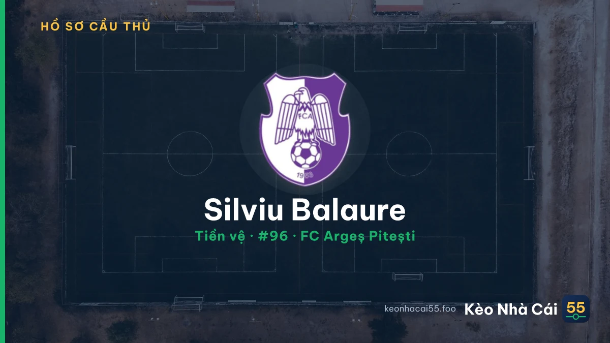 Silviu Balaure — FC Argeș Pitești