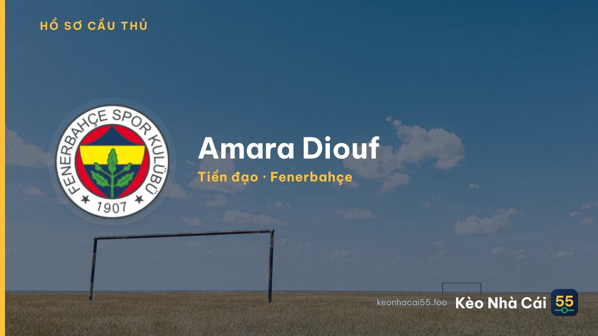 Amara Diouf — Fenerbahçe