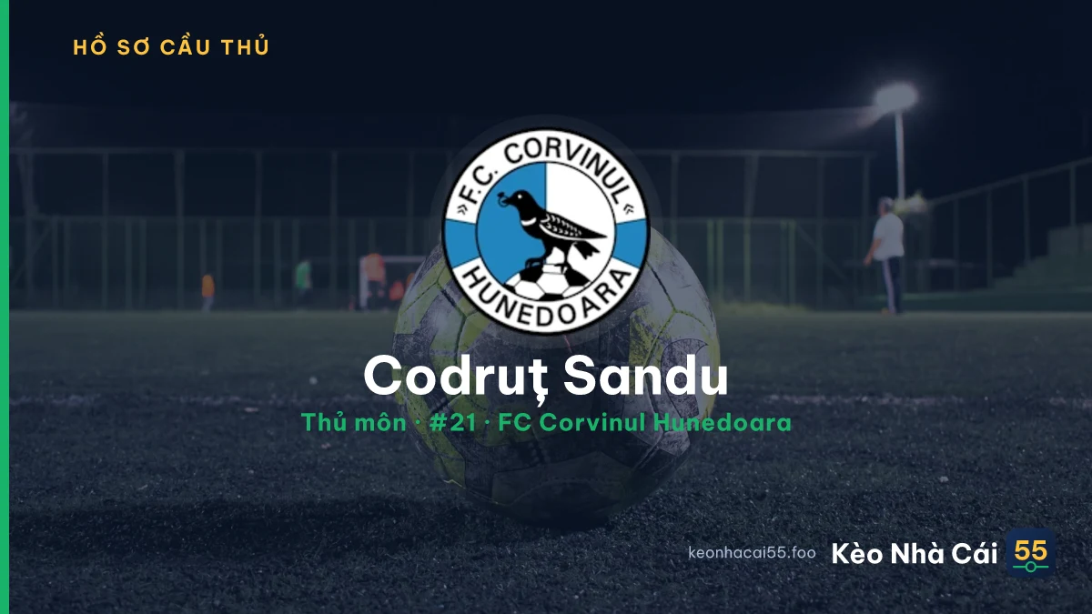 Codruț Sandu — FC Corvinul Hunedoara