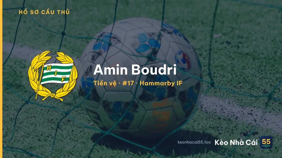 Amin Boudri — Hammarby IF