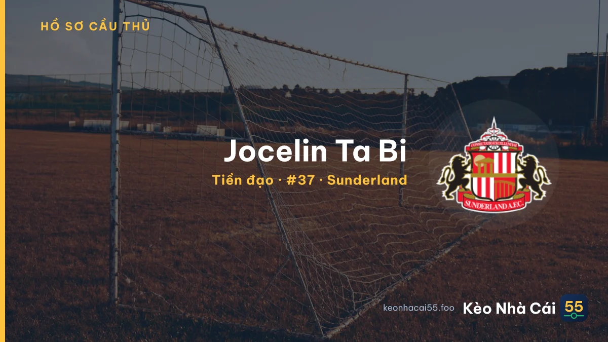 Jocelin Ta Bi — Sunderland