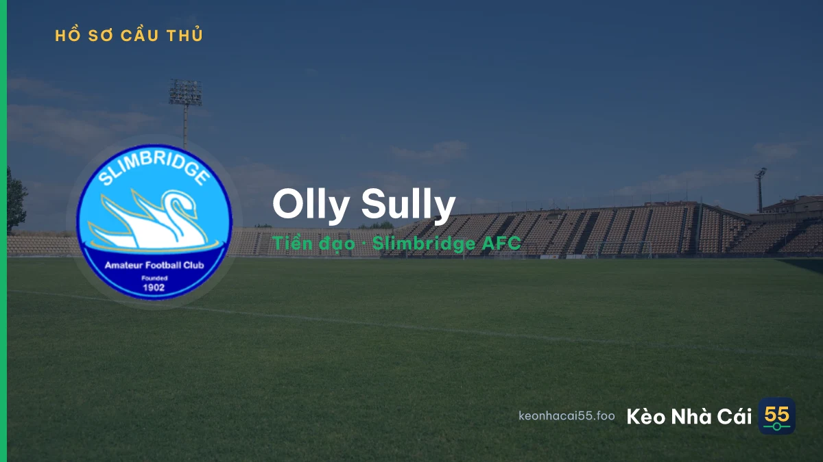 Olly Sully — Slimbridge AFC