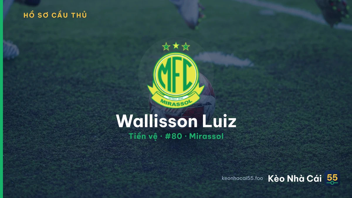 Wallisson Luiz — Mirassol