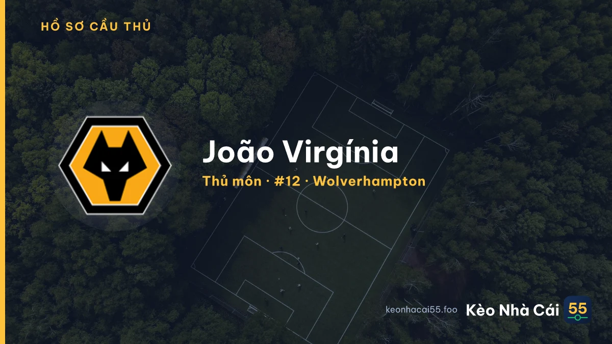 João Virgínia — Wolverhampton