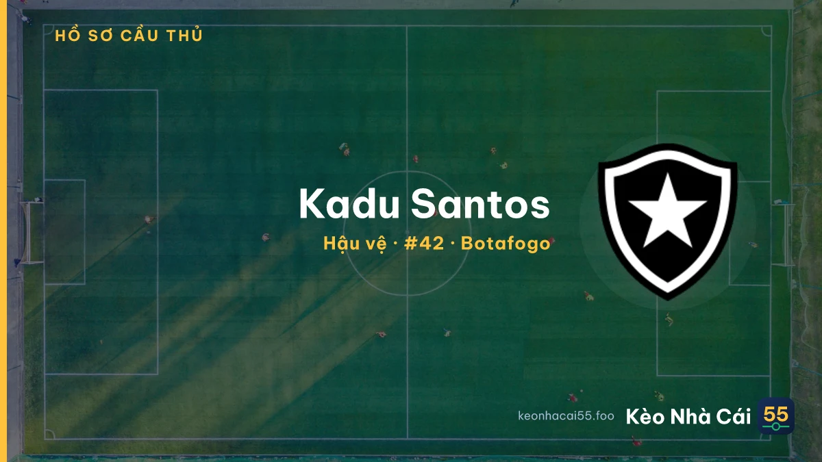 Kadu Santos — Botafogo