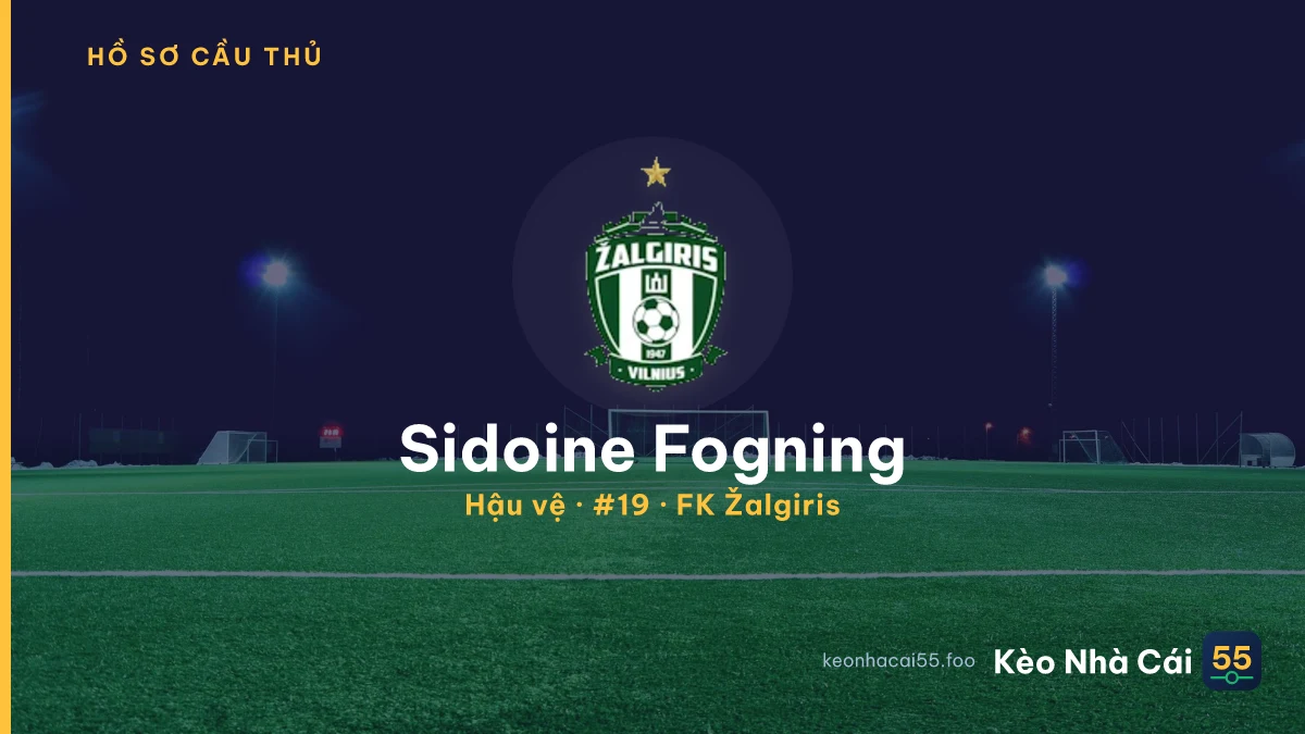 Sidoine Fogning — FK Žalgiris