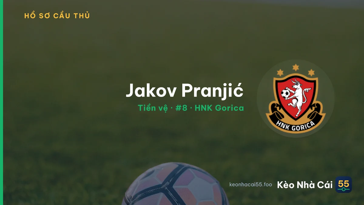 Jakov Pranjić — HNK Gorica