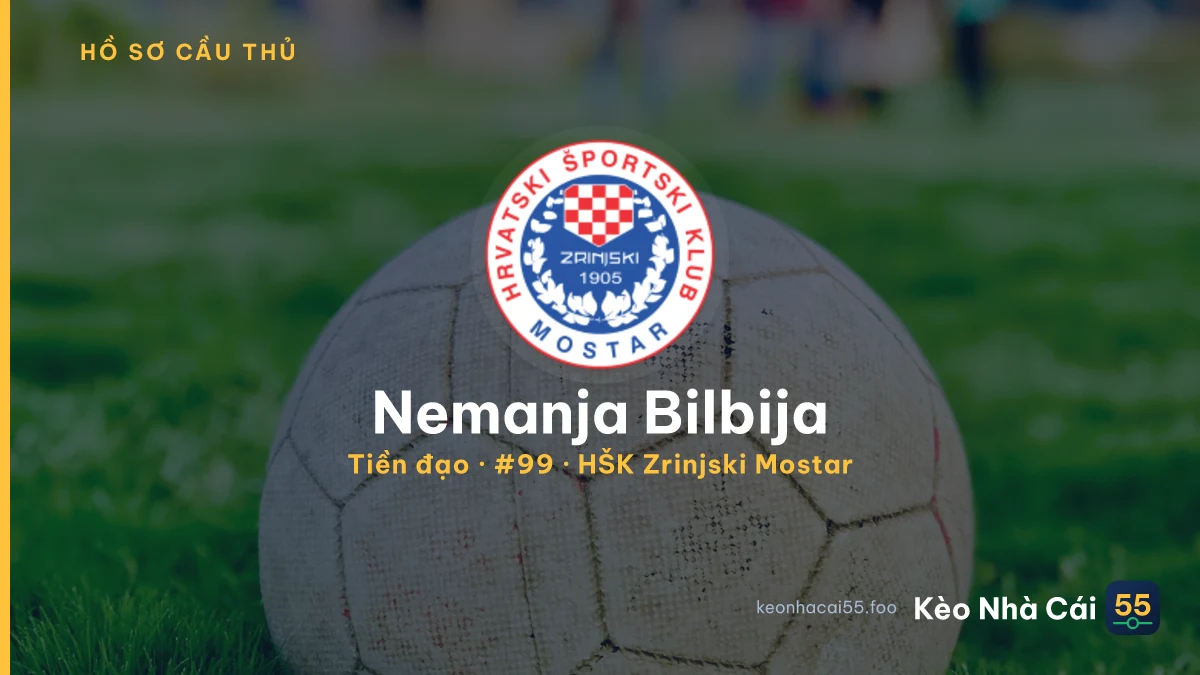 Nemanja Bilbija — HŠK Zrinjski Mostar