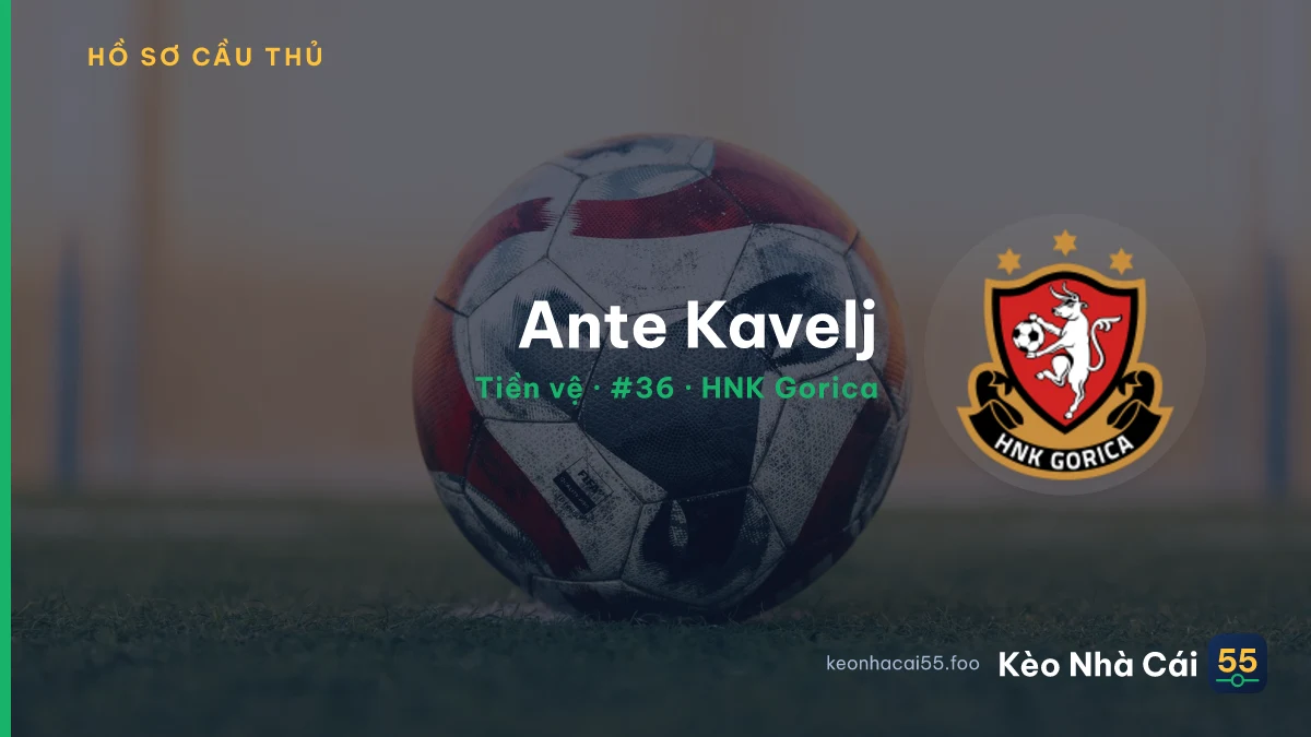 Ante Kavelj — HNK Gorica