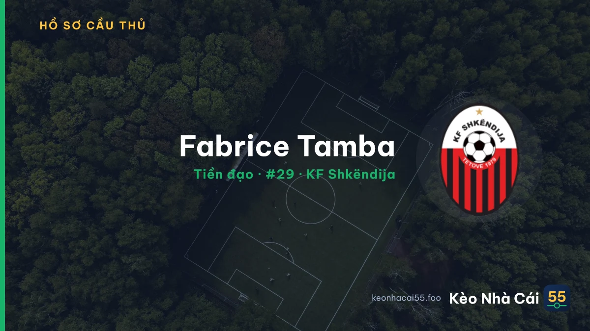 Fabrice Tamba — KF Shkëndija