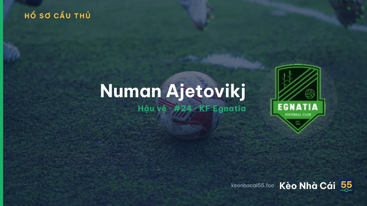 Numan Ajetovikj — KF Egnatia