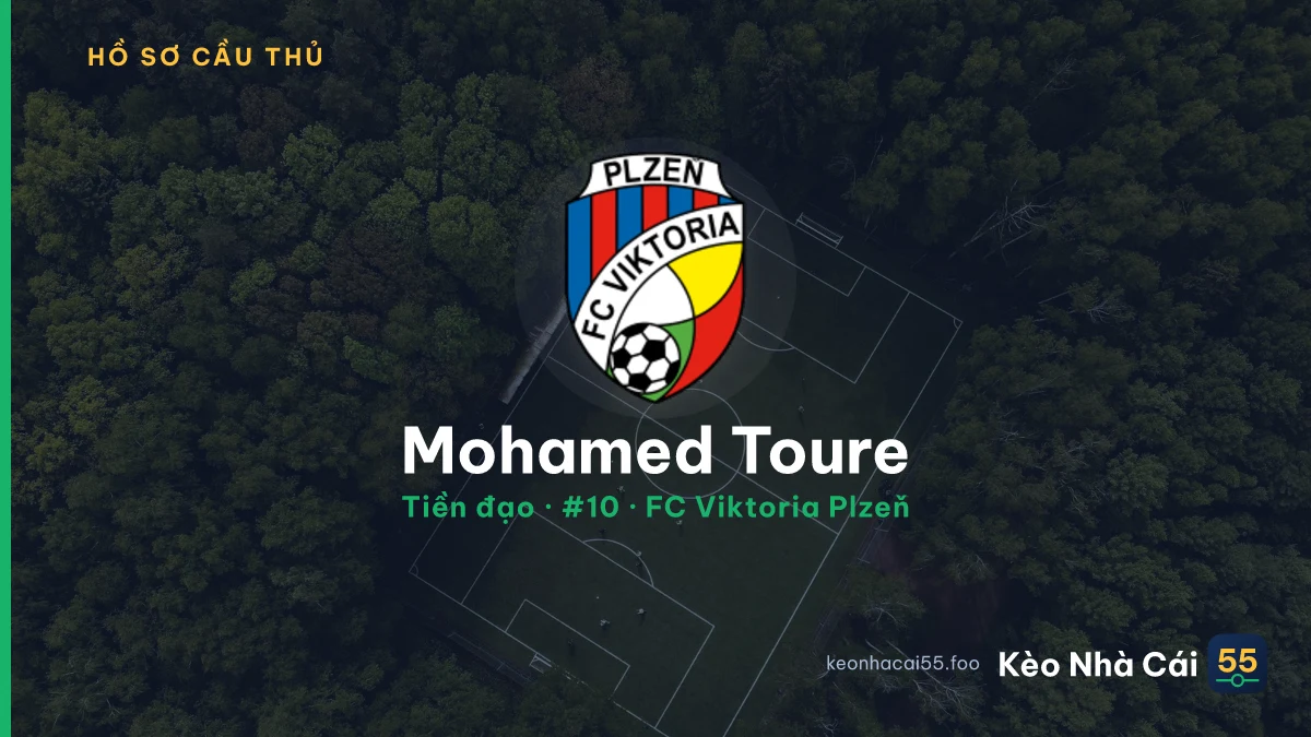 Mohamed Toure — FC Viktoria Plzeň