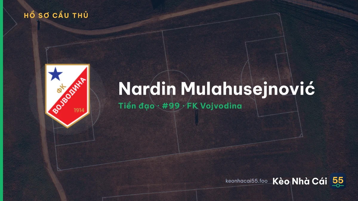 Nardin Mulahusejnović — FK Vojvodina