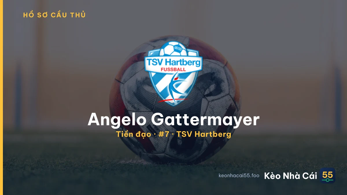 Angelo Gattermayer — TSV Hartberg