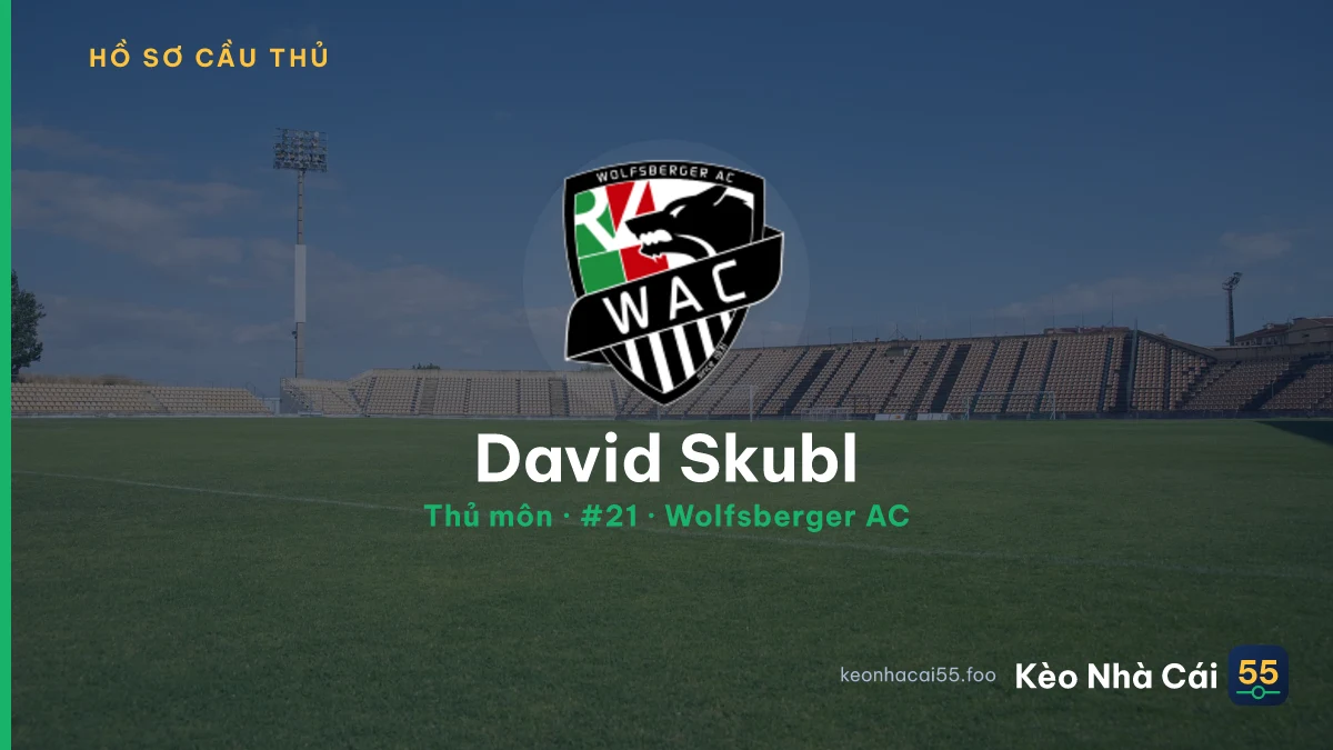David Skubl — Wolfsberger AC
