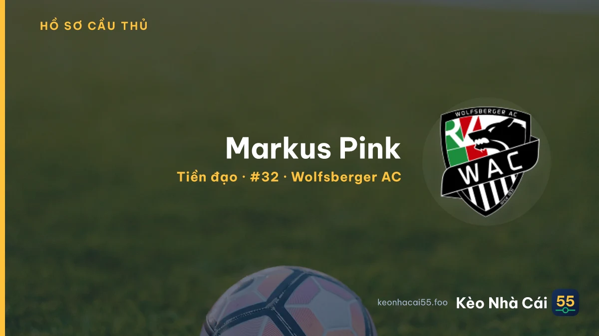 Markus Pink — Wolfsberger AC