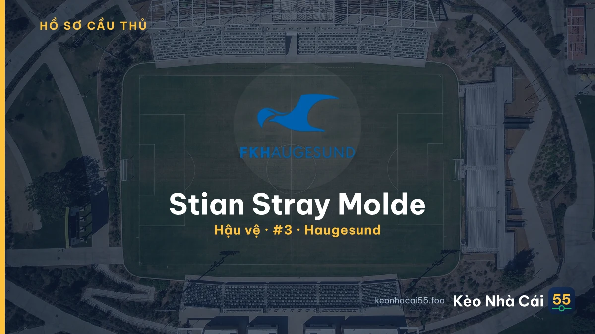 Stian Stray Molde — Haugesund