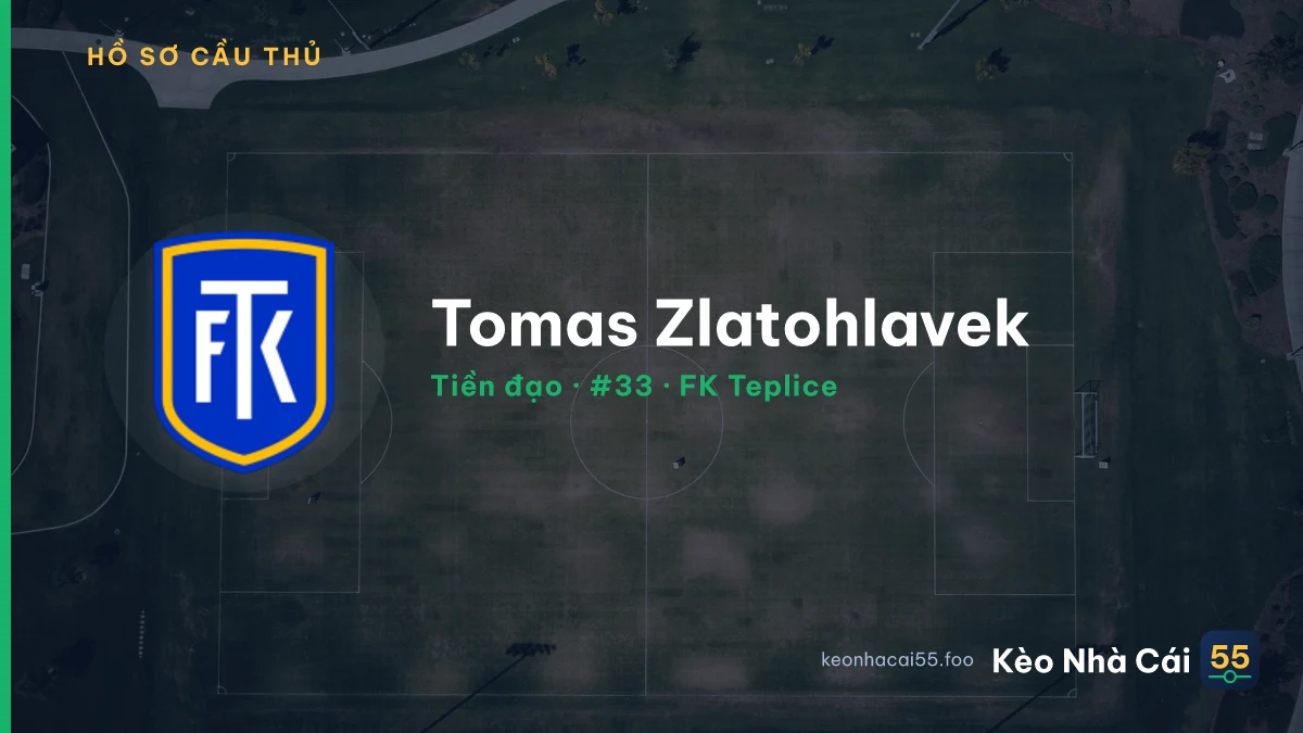 Tomas Zlatohlavek — FK Teplice