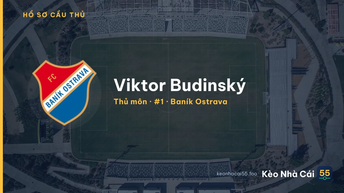 Viktor Budinský — Baník Ostrava