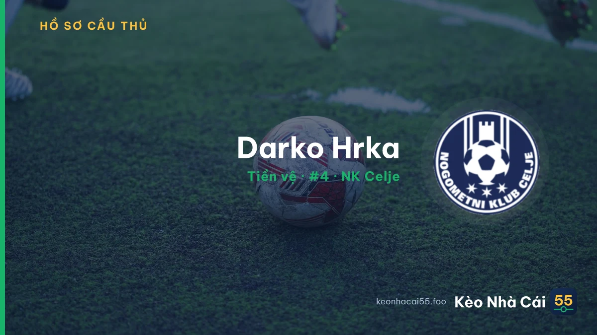 Darko Hrka — NK Celje